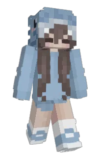 silk2222's Minecraft skin