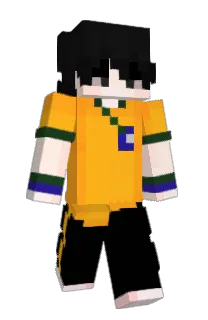 Front of silvagx's skin