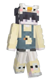 Front of plat_e's skin