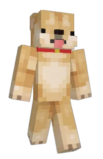 Front of DyD_PR's skin