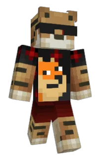 Front of porrc's skin