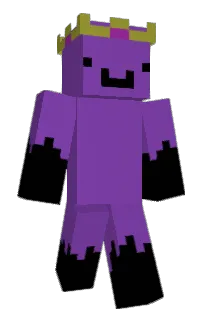 Front of PorV2's skin