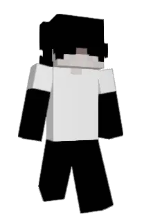 Front of snabp's skin