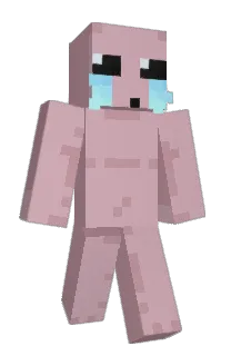 Front of _Nsme_'s skin