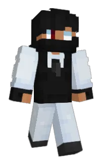 Front of Colinischi's skin