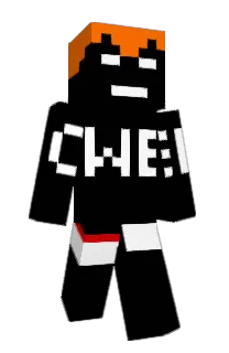 T0mczeski17's Minecraft skin