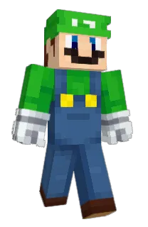 v2turtles's Minecraft skin