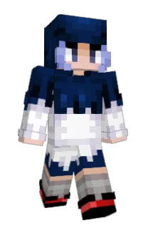 Front of volidex's skin