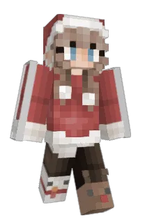 Front of 1Fruitcake's skin