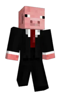 TennisTurtle's Minecraft skin