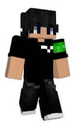 Minecraft-Skin in black und whiskey — Modell: Klassisch