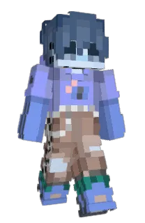 Front of HizashiBee's skin