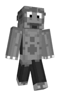Front of koirat's skin