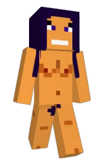 Front of Minigamer123's skin