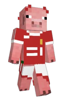 Front of Minecraft skin