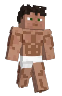 Front of Minecraft skin