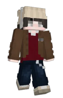Front of wonderfool's skin