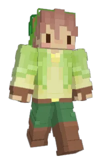 Front of toad_stones's skin