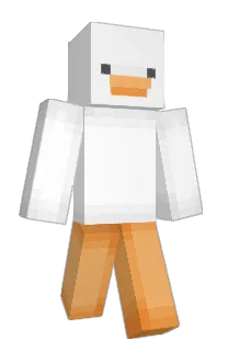 Front of zldnl's skin