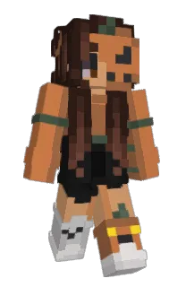 Front of xBeagle's skin