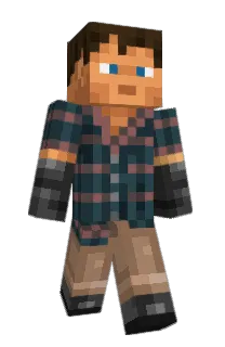 Front of crdm's skin