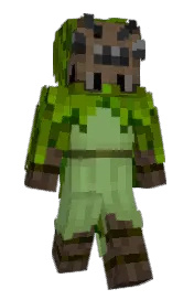 Skin preview