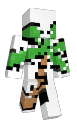 Minecraft skin — Classic model