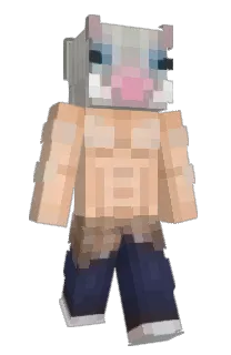 Front of Mallupine's skin
