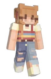Skin preview