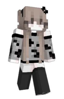 Front of solliey's skin