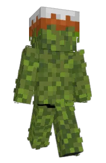 Front of Brawojtas's skin