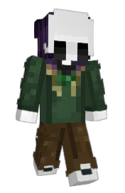 Skin preview