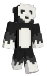 Minecraft skin — Classic model