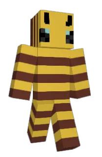 Front of MiniBoru's skin