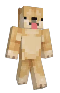 Front of Minecraft skin