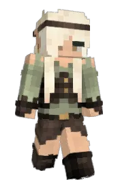 Skin preview
