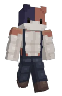 Front of Flatapuss's skin