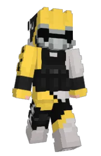Front of CentuGato's skin