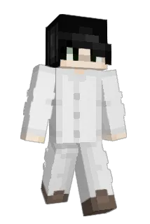 3els Minecraft avatar full body