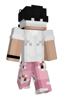 3et_ Minecraft avatar full body