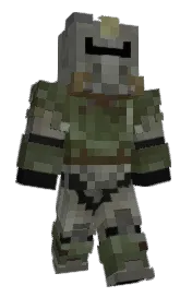 Skin preview