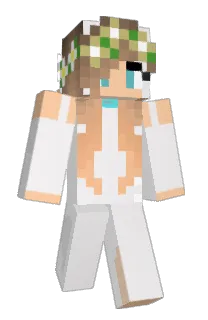 Front of Minecraft skin
