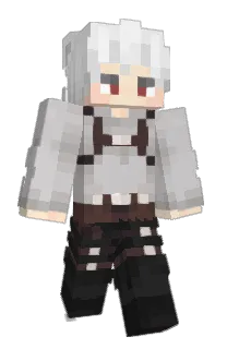 Front of Shakydo's skin