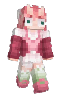 candont's Minecraft skin