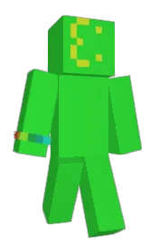 Skin preview