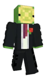 MrLimee's Minecraft skin wearing the Common cape