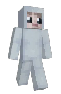 Front of nymphbat's skin