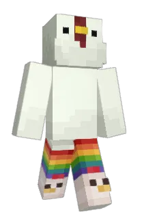 Front of chckn's skin