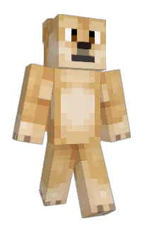 Front of XCharazard's skin
