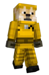 Front of Browny4427's skin